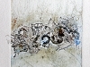 rivage-1