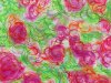 roses-monoprint
