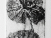ames-1