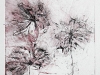 ames-carre-1