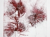 ames-carre-4