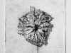 ames-seul-2